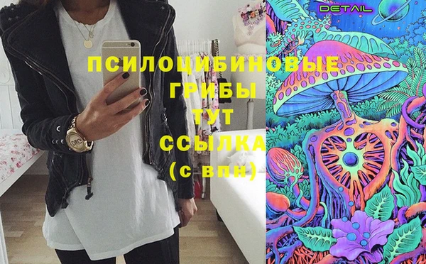 дурь Лагань