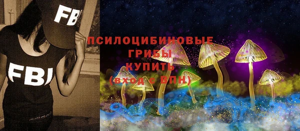 таблы Ладушкин