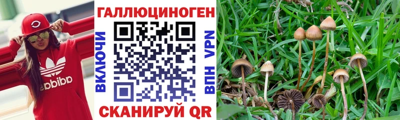 Псилоцибиновые грибы мухоморы  Олёкминск 